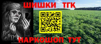 мдпв Жуковский